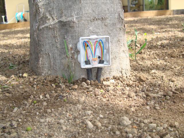 Décoration lumineuse exterieure avec tirage de nouvelles lignes dans le jardin 