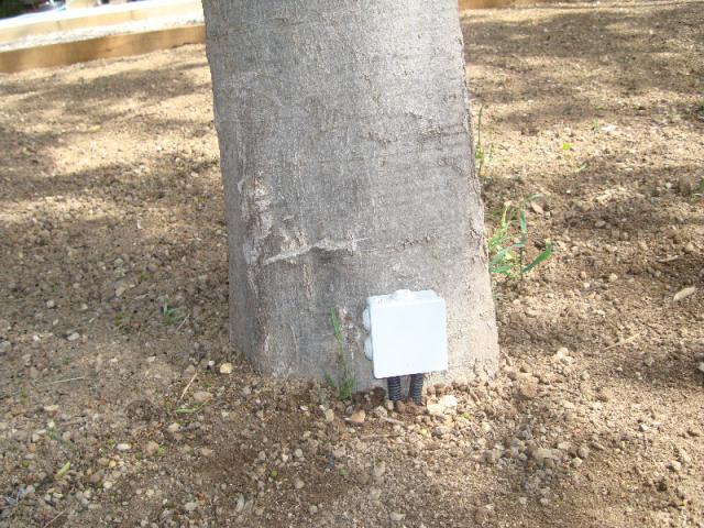 Décoration lumineuse exterieure avec tirage de nouvelles lignes dans le jardin 